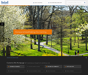 New site preview